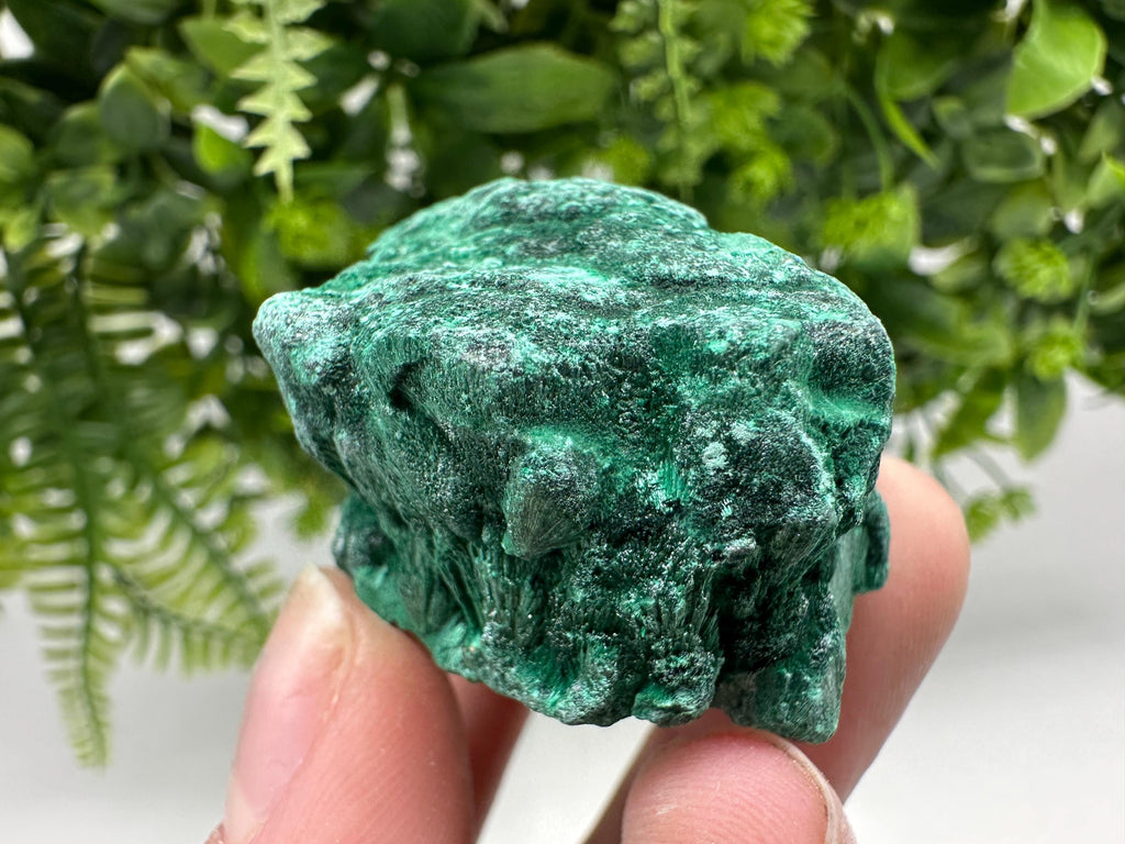Polished Malachite Crystal from Congo, Natural Green Specimen, Chakra Stone