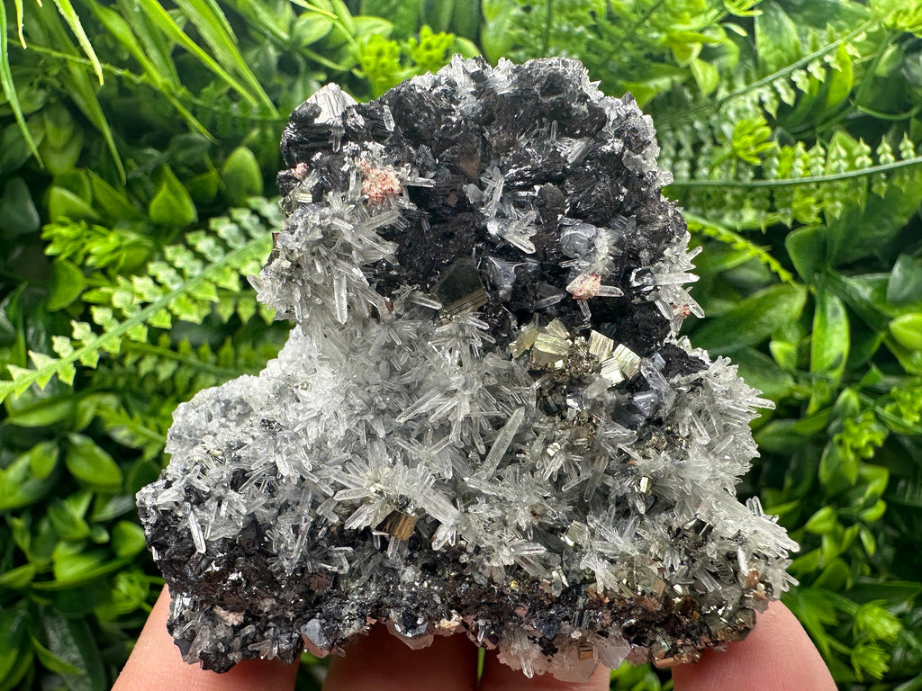 Sphalerite Galena Pyrite on Quartz, Borieva Mine Mineral Specimen