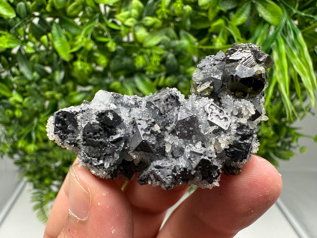 Rare Galena Sphalerite Pyrite Mineral Specimen: Krushev Dol Mine