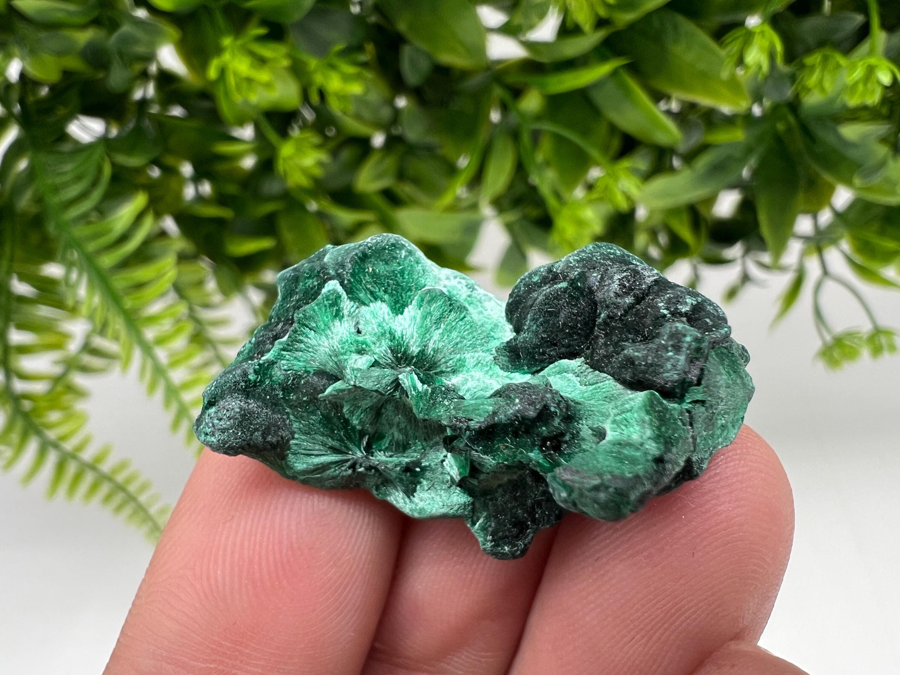Malachite Crystal from Congo,Minerals,Crystals from Congo,Green Malachite, Malachite,Natural Malachite,Malachite Stone,Chakra, Specimens