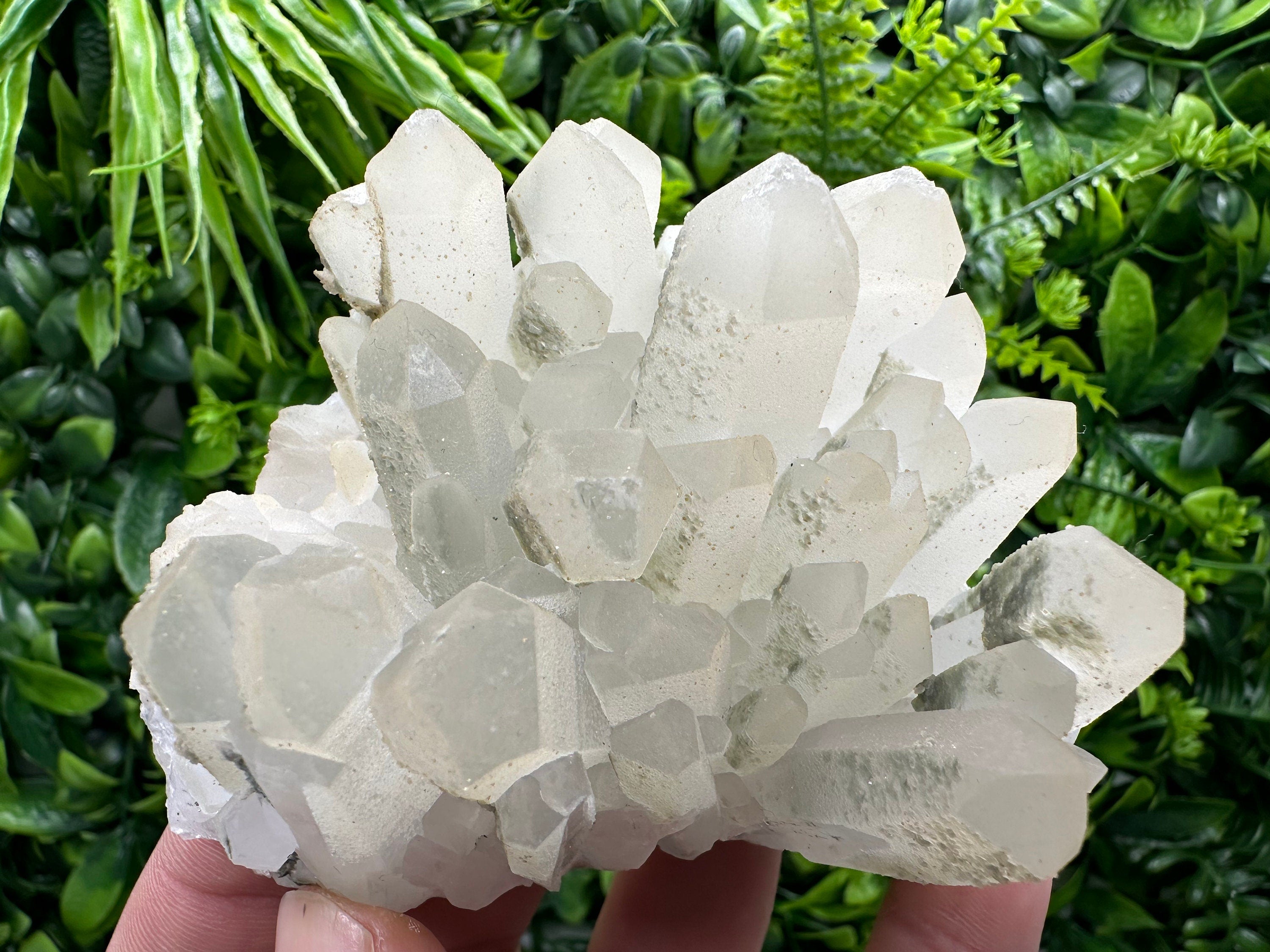 Chlorite Quartz Crystal Cluster: Borieva Mine, Bulgaria