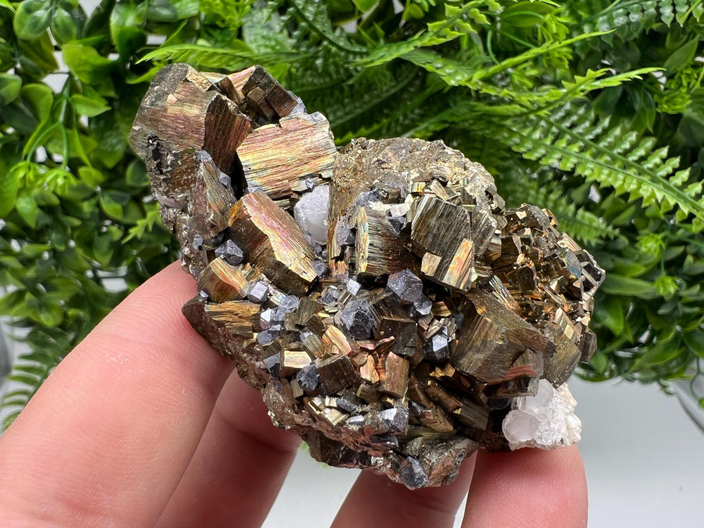 Galena on Pyrite Specimen: Borieva Mine, Bulgaria