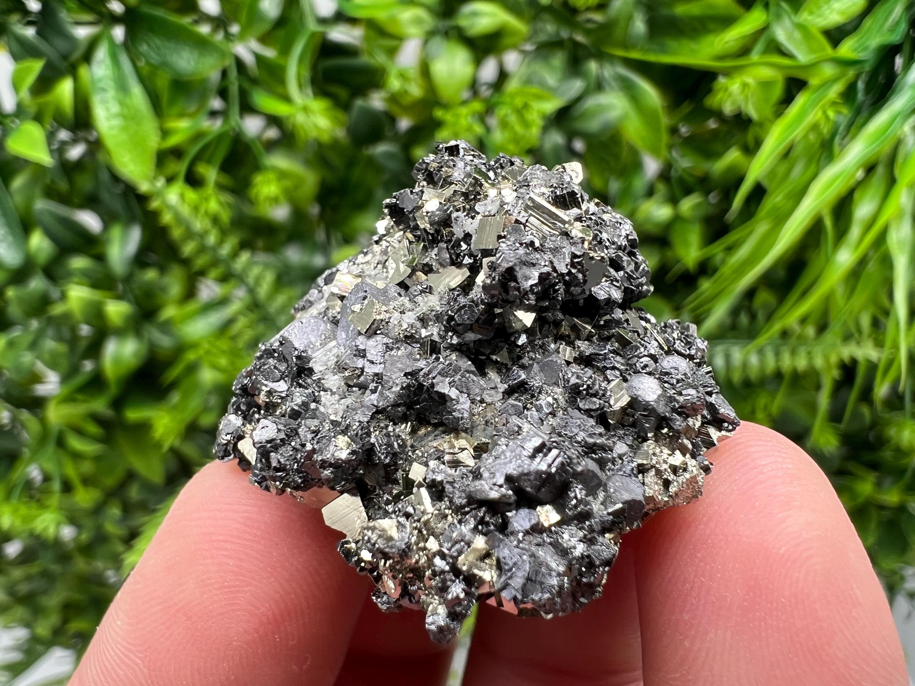 Pyrite Galena Sphalerite Quartz Specimen: Borieva Mine, Bulgaria