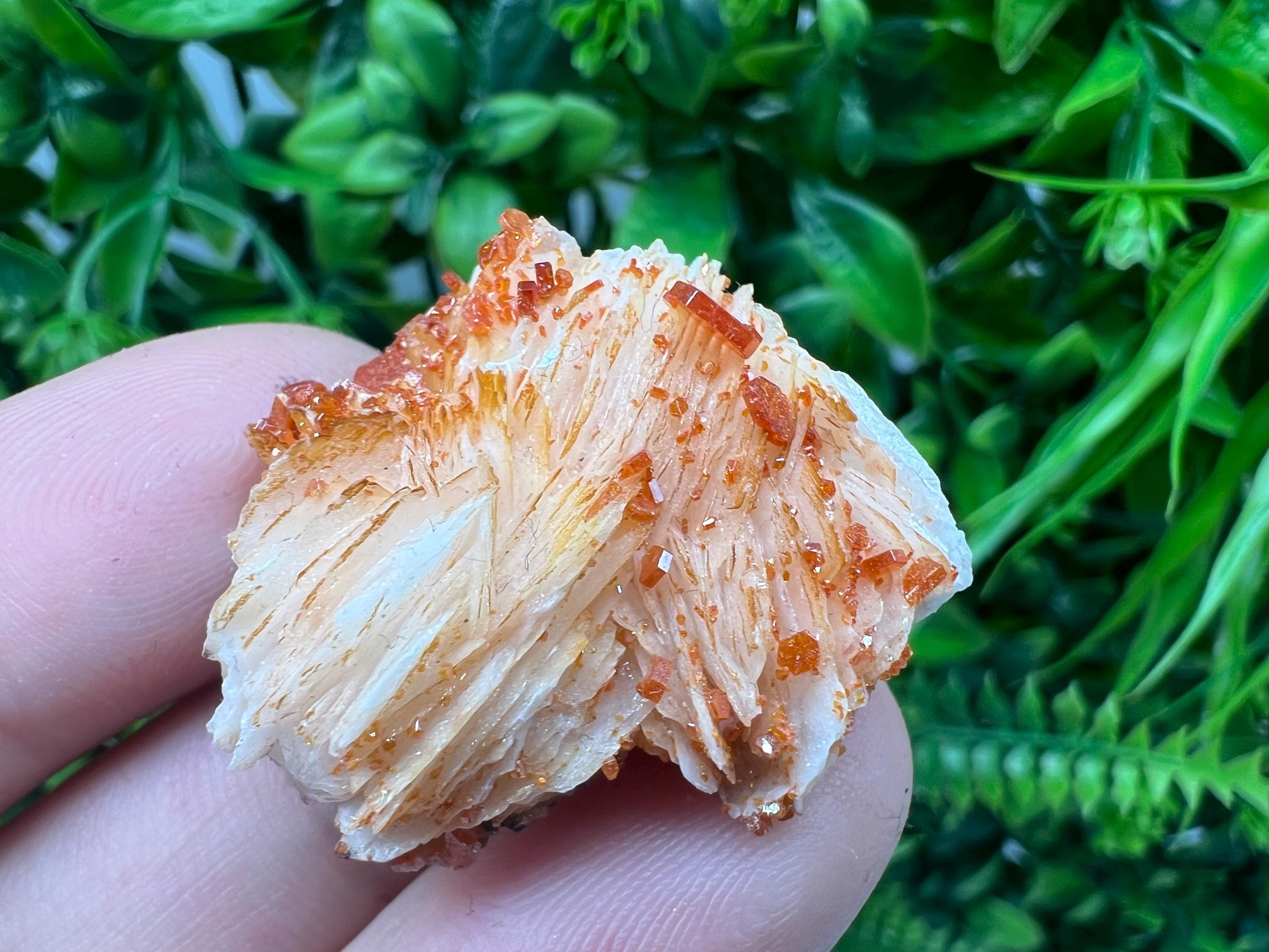 Red Vanadinite on Barite from Marocco,crystal minerals Speciment cluster Vanadinite crystal Vanadinite Geology Vanadinite cluster minerals