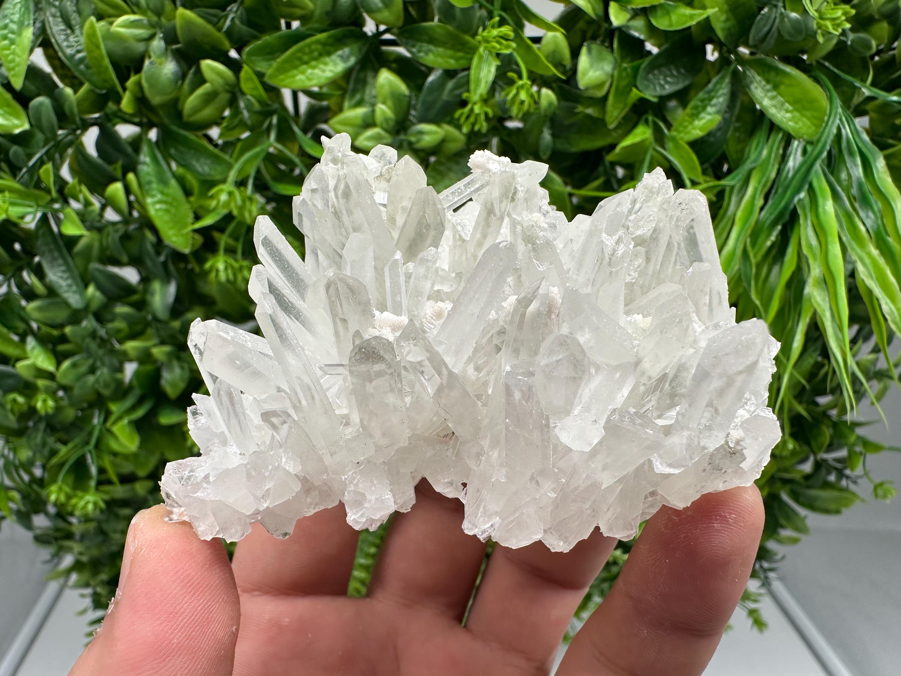 Transparent Quartz Crystal: Djurcovo Mine, Bulgaria