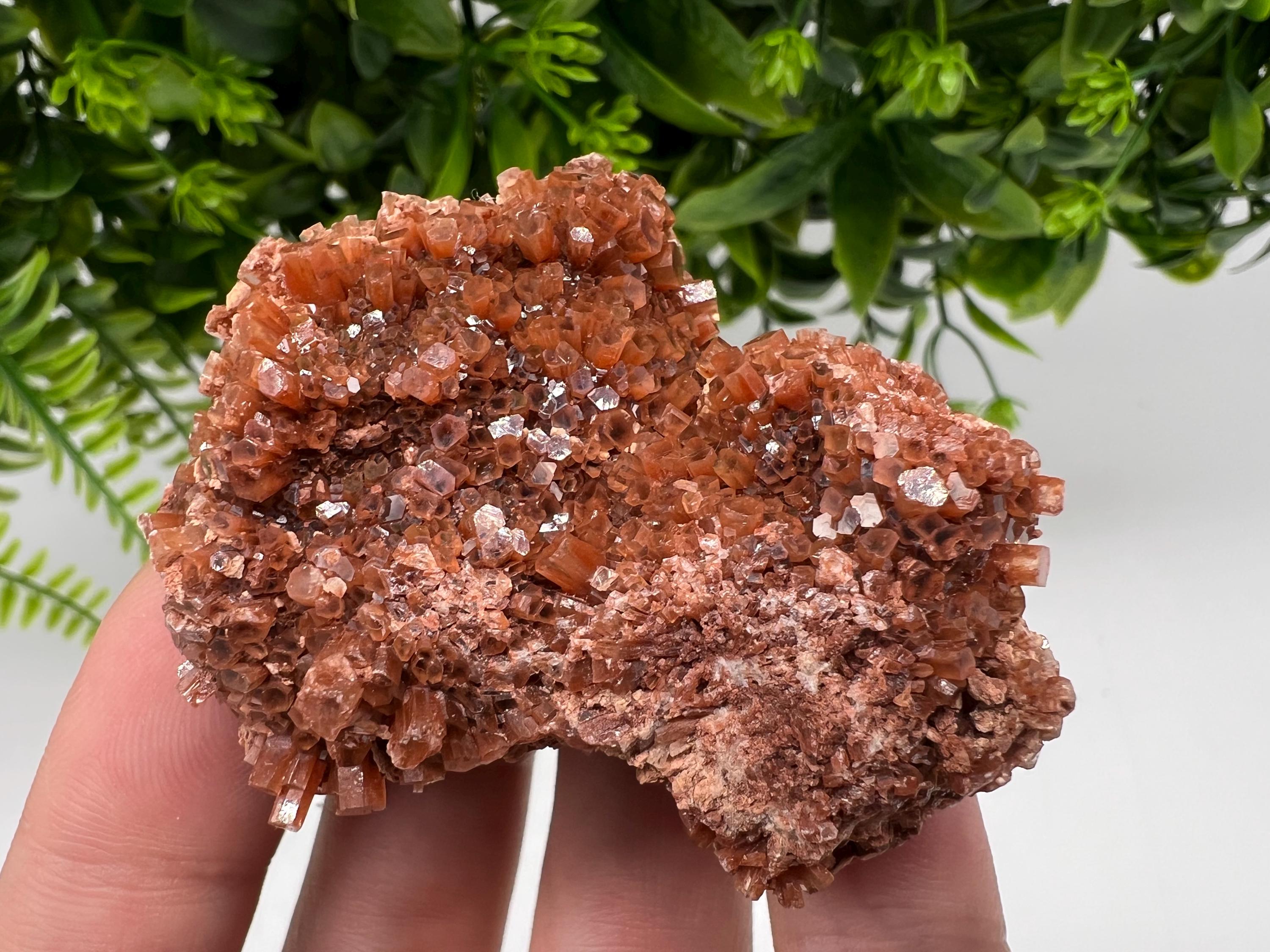 Large Aragonite Sputnik Cluster: Raw Moroccan Crystal Stone, Home Decor
