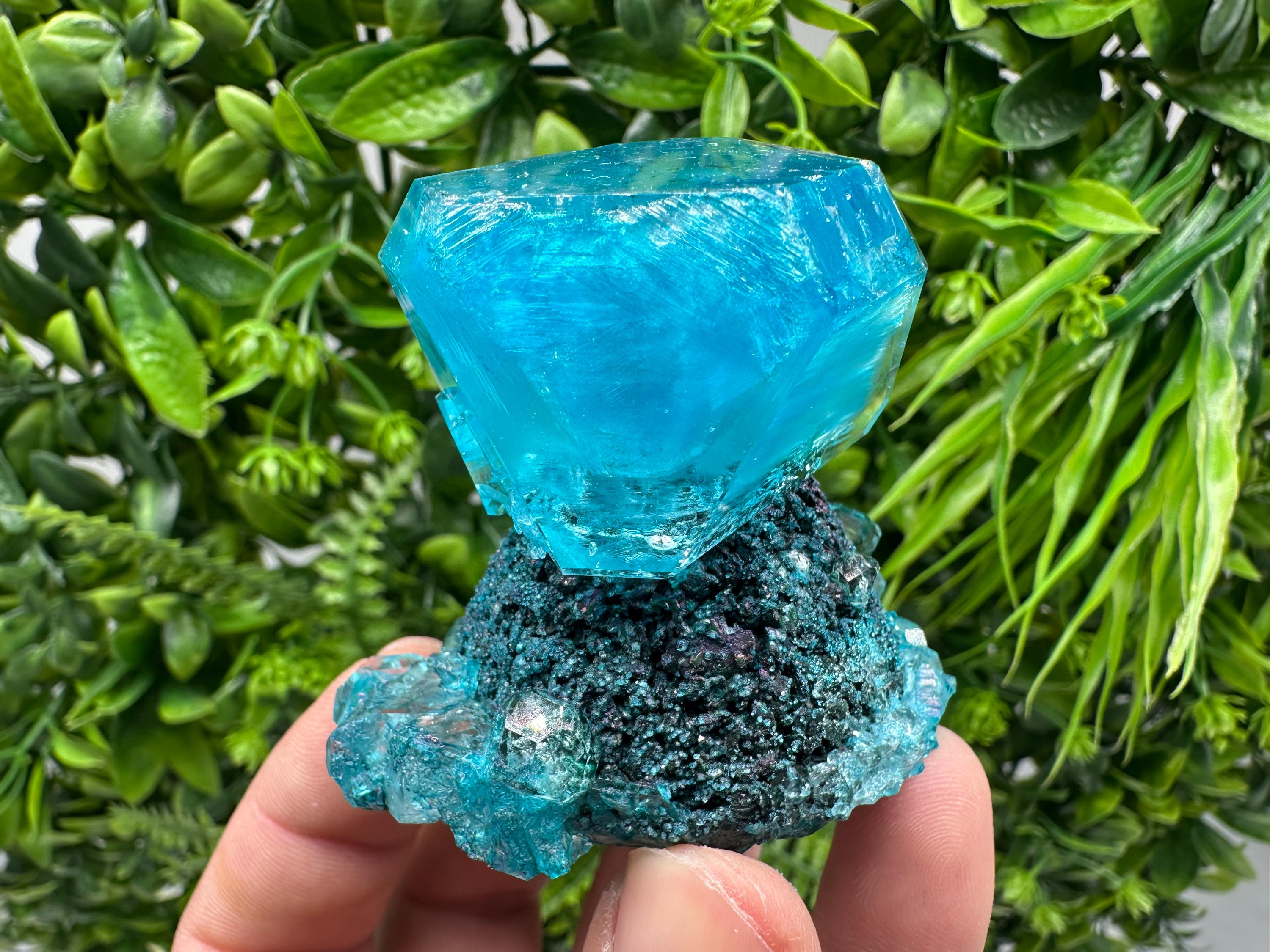 Exceptional Turquoise ALUNITE Aqua Crystal on Matrix UV Active, lab minerals