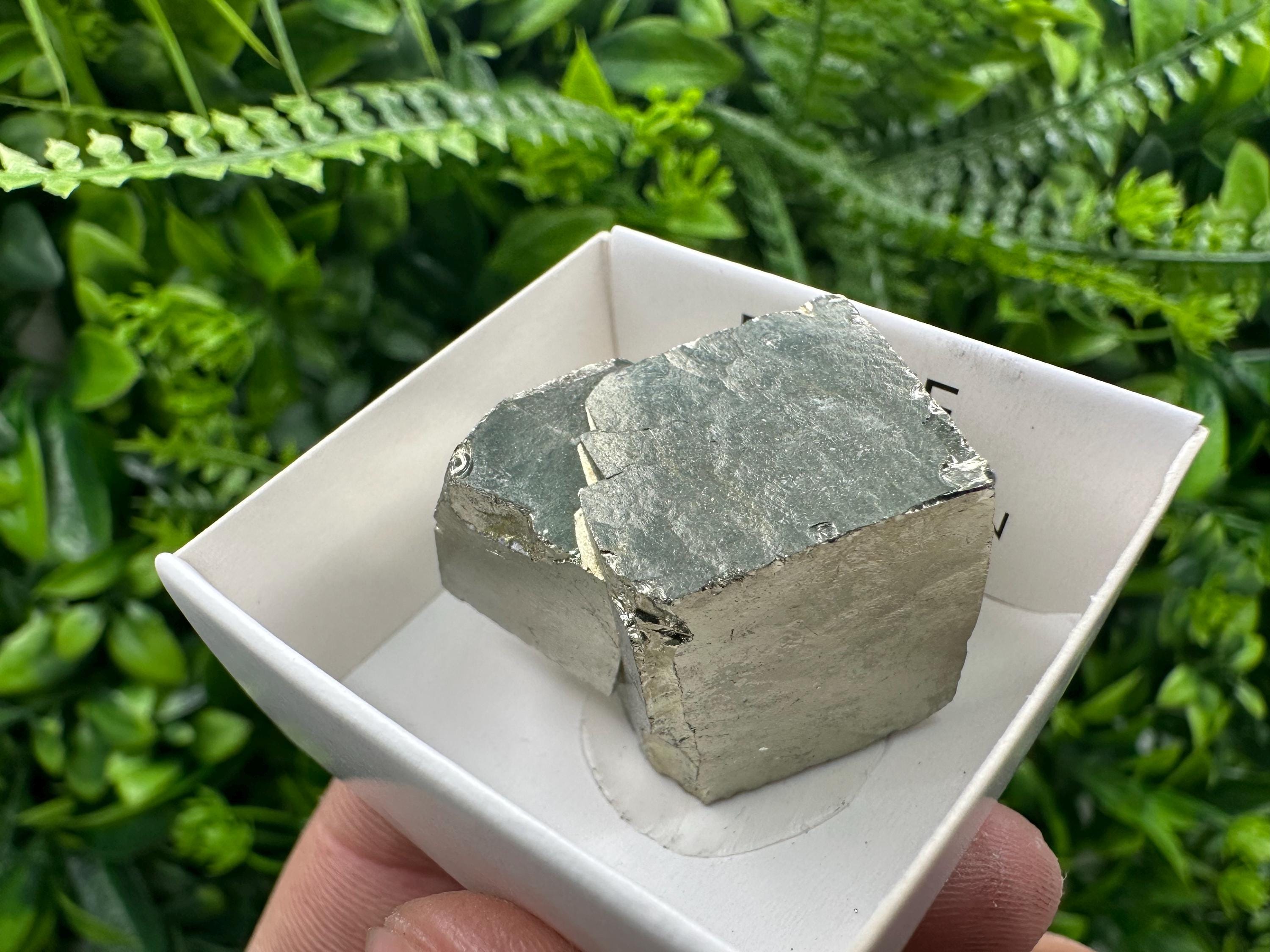 Large Pyrite Cube, Navajun Spain, Shiny Mineral Specimen