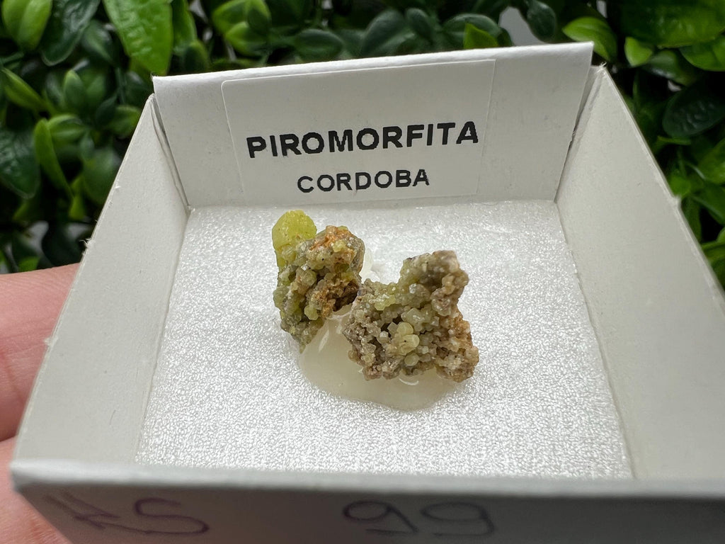 Pyromorphite Stone / Pyromorphite on Matrix / Pyromorphite Crystal / Raw Crystal / Pyromorphite Cluster / Rough Pyromorphite / Pyromorphite