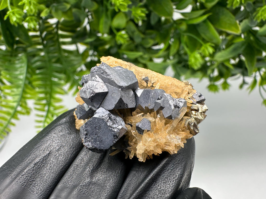 Quartz with Pyrite,Galena,iron oxide Specimen: Borieva Mine Crystal Decor