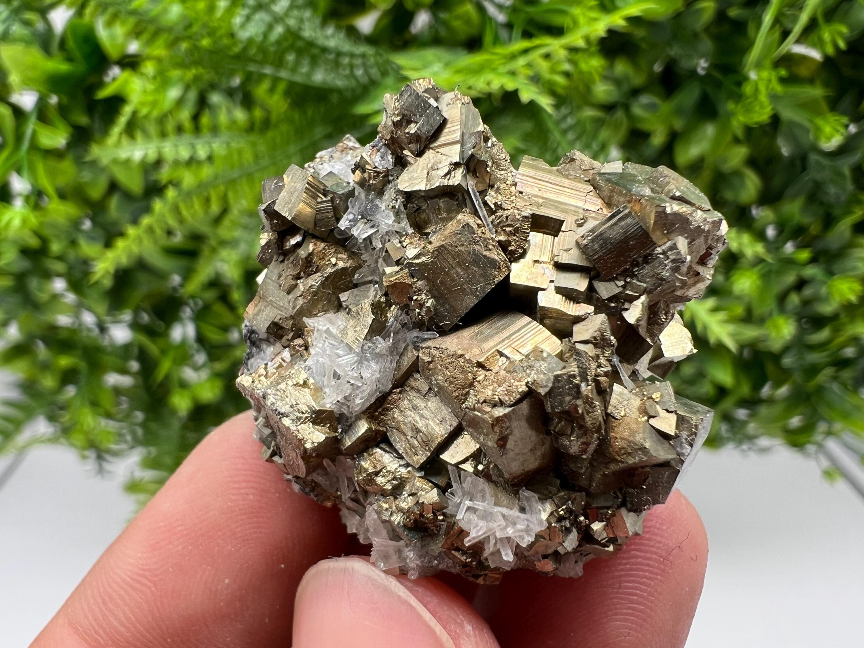 Rainbow Pyrite on Quartz, Natural Crystal Mineral Specimen, Borieva Bulgaria