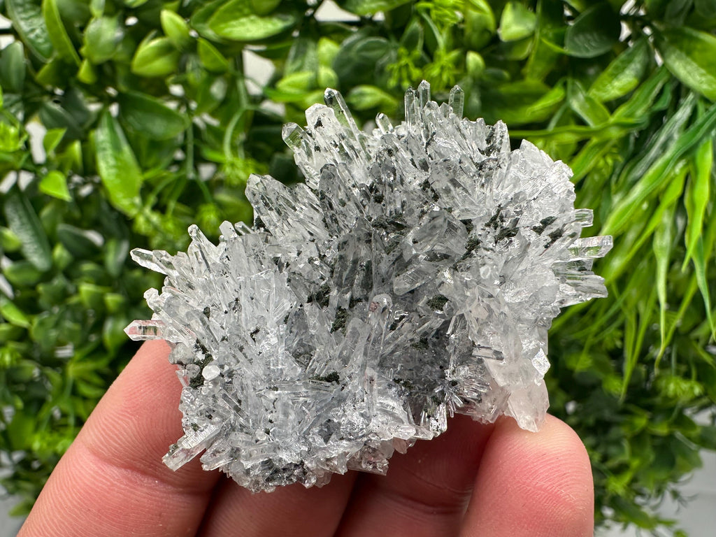 Chlorite Quartz Crystal Cluster - Borieva Mine, Bulgaria