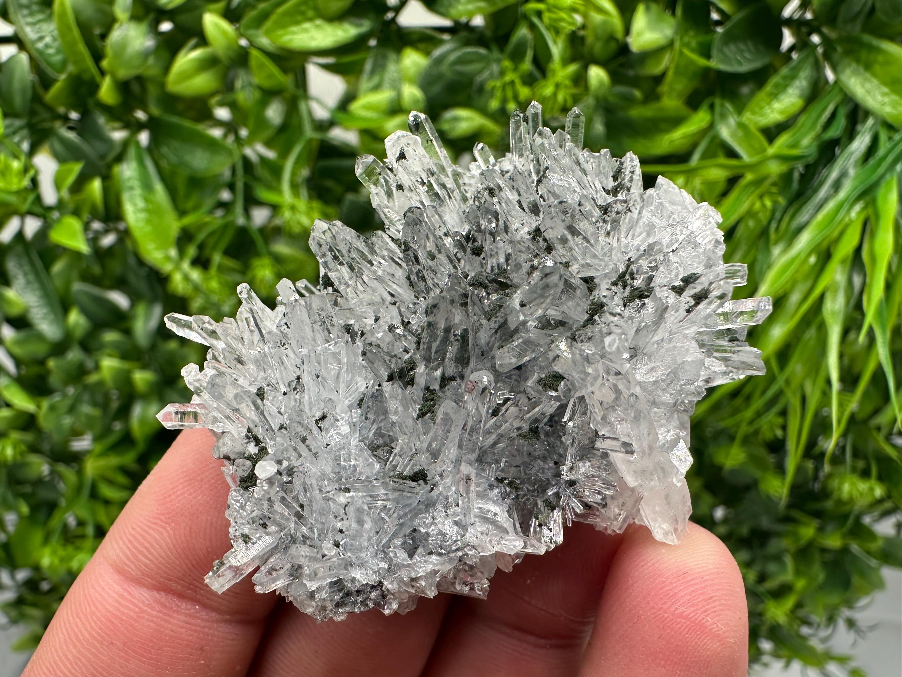 Chlorite Quartz Crystal Cluster - Borieva Mine, Bulgaria