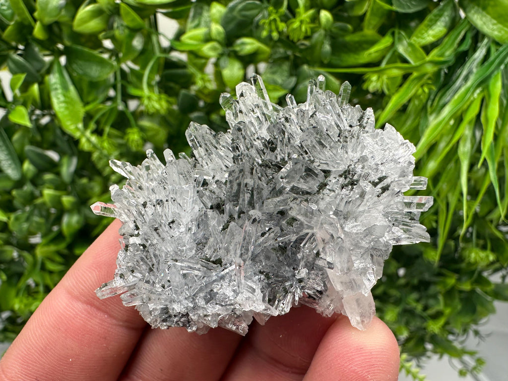 Chlorite Quartz Crystal Cluster - Borieva Mine, Bulgaria