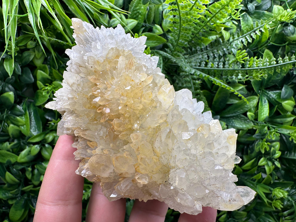 Limonite Quartz Crystal Cluster: Iron Oxide Mineral Specimen