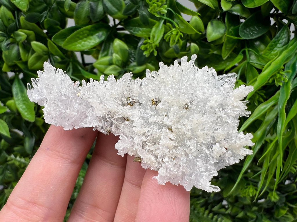 Wonderful Transparent Quartz on Chlorite Matrix,From Borieva mine,Madan,Bulgaria,Quartz,Quartz crystal,mineral specimen,collection quartz