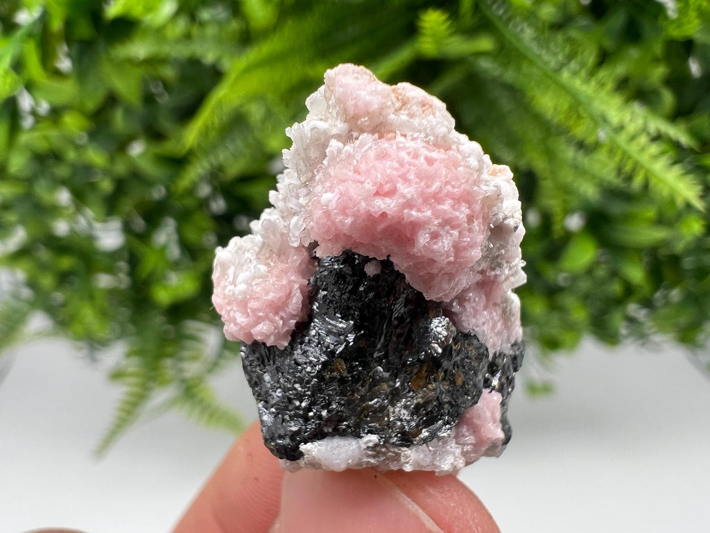 Rhodochrosite on Quartz: Pink Mineral Specimen, Starnica Mine