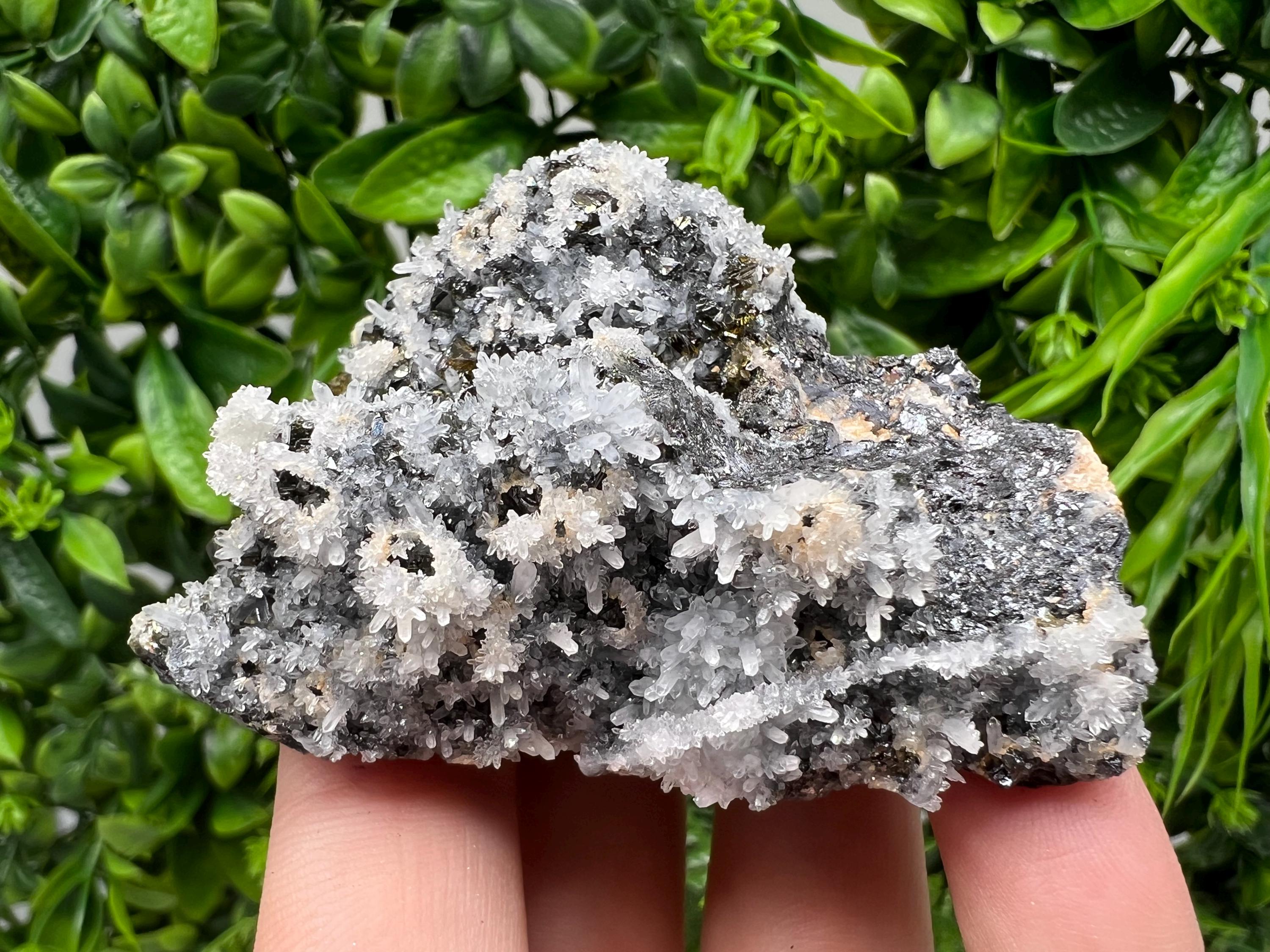 Stunning Gems Sphalerite Cleiopfane on Quartz from Krushev dol mine,Madan,Bulgaria,natural,collectible mineral specimen,home decor stone