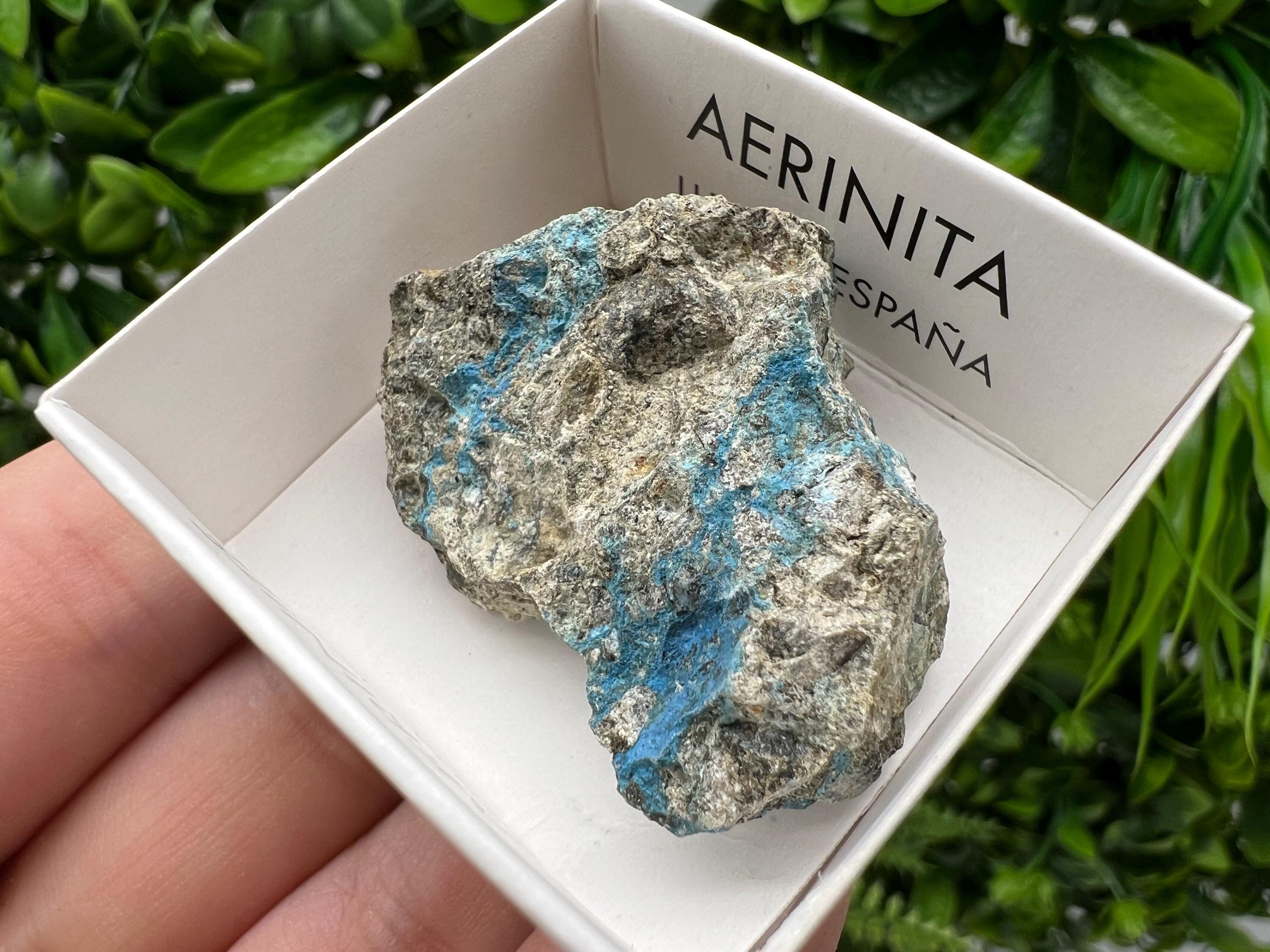 Rare Raw Aerinite Mineral Specimen: Collection Crystal from Lleida, Spain (3.5/3 CM)