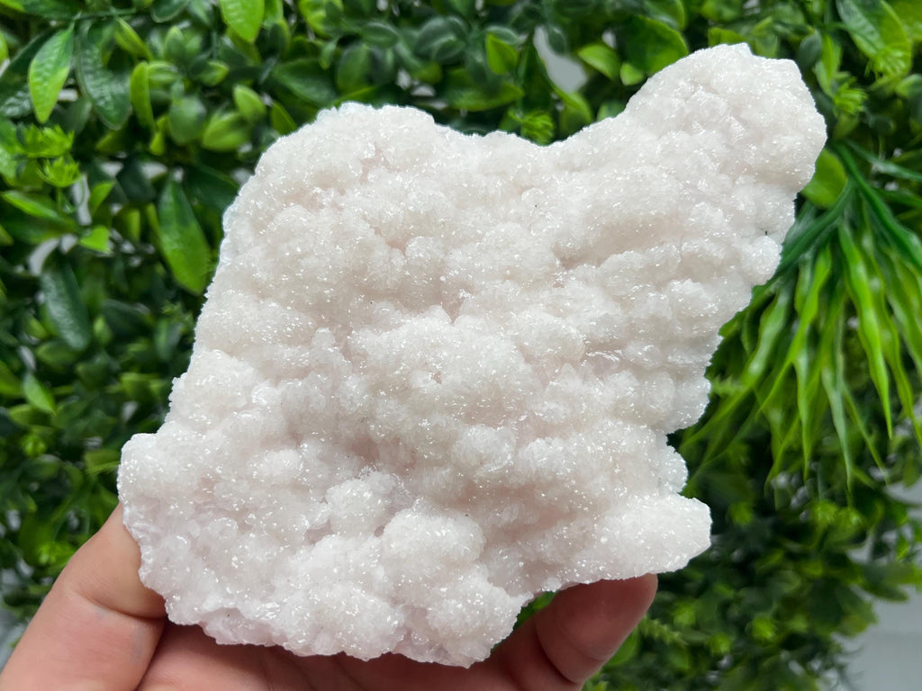 Stunning Mangano Calcite whit Galena,natural minerals souvenir crystal,collection stone,rare minerals,gift,Calcite ,Borieva mine,Bulgaria