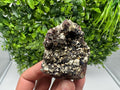Rainbow Pyrite with Calcite, Natural Mineral Souvenir, Borieva Bulgaria