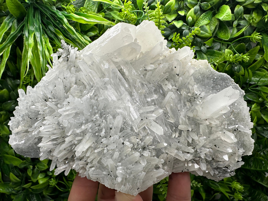 Transparent Quartz Crystal, Borieva Mine Bulgaria, Mineral Specimen