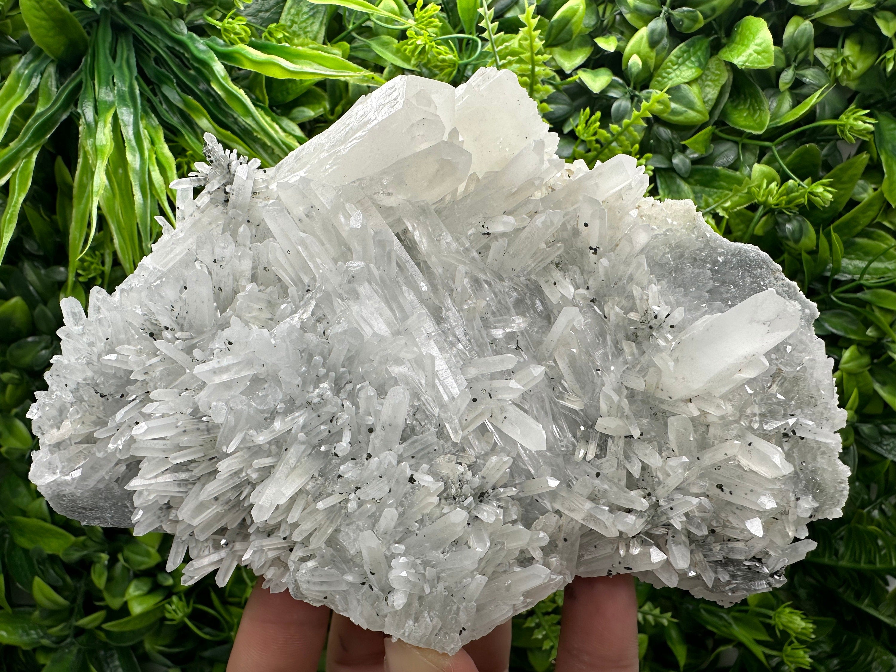 Transparent Quartz Crystal, Borieva Mine Bulgaria, Mineral Specimen
