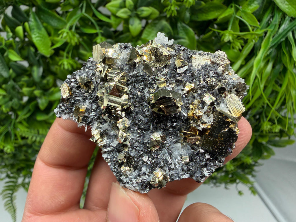 Pyrite Sphalerite Quartz  Mineral Specimen, Krushev dol Mine
