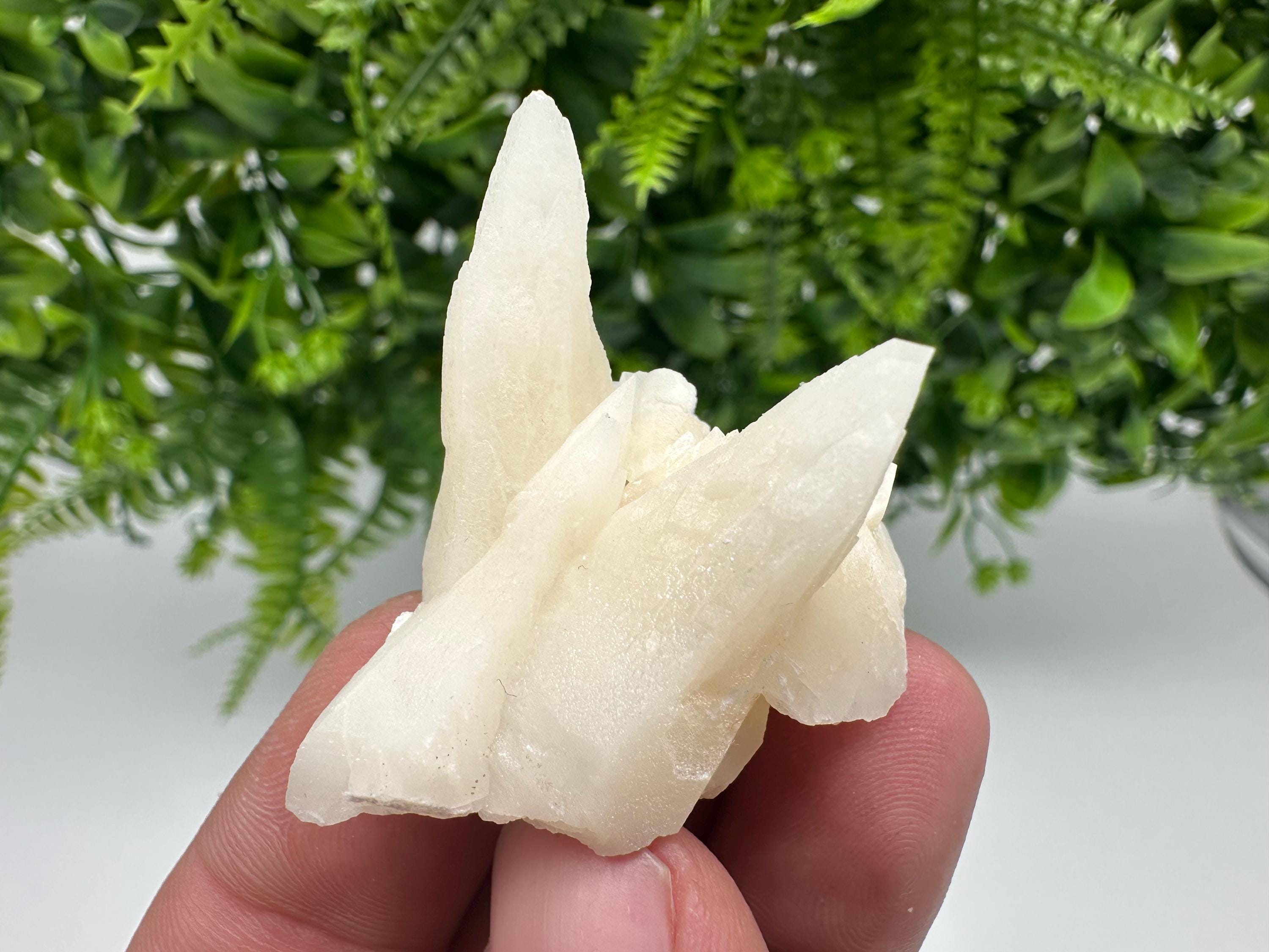 Calcite on Aragonite: Djurcovo Mine, Bulgaria Crystal