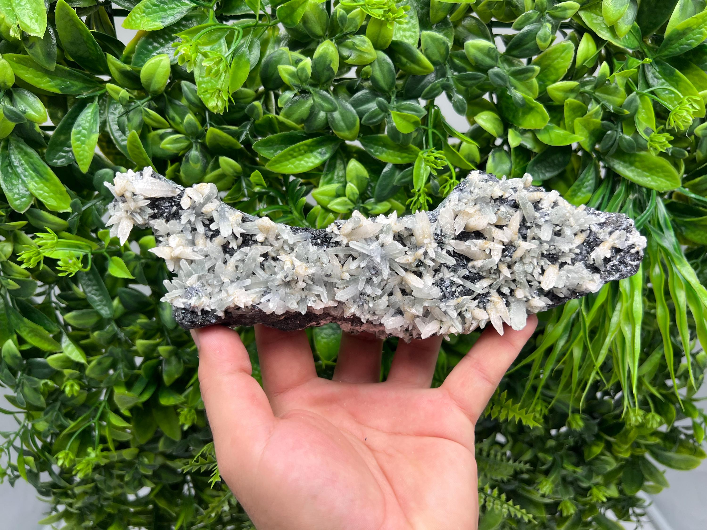 Calcite on Green Quartz: Djurcovo Mine, Bulgaria Healing Crystal