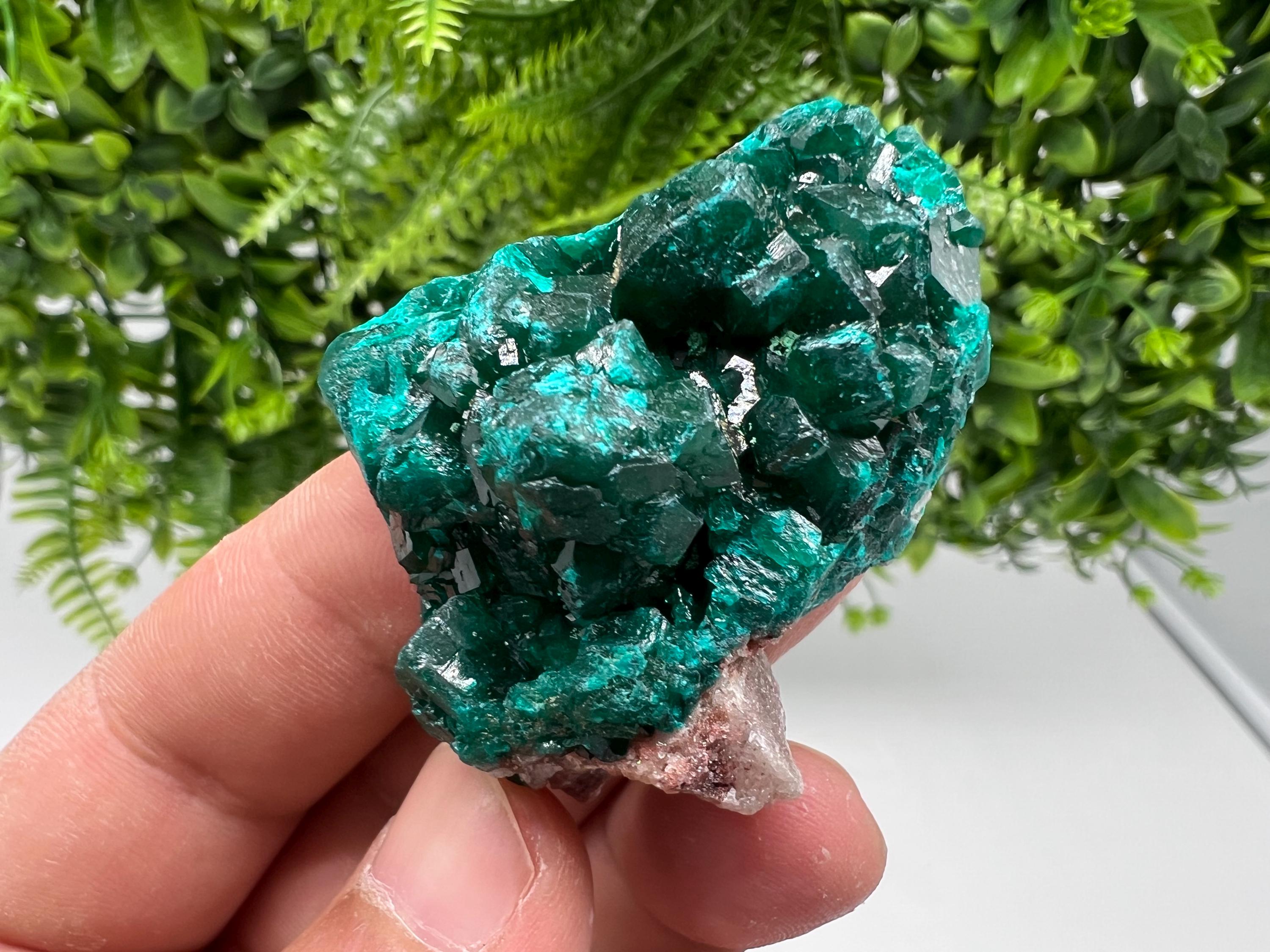 Stunning Green Dioptase from Sanda Hills,Mindouli,Pool Department,Mindouli District,Congo,green Dioptase,Dioptas Crystal,Dioptase collecting