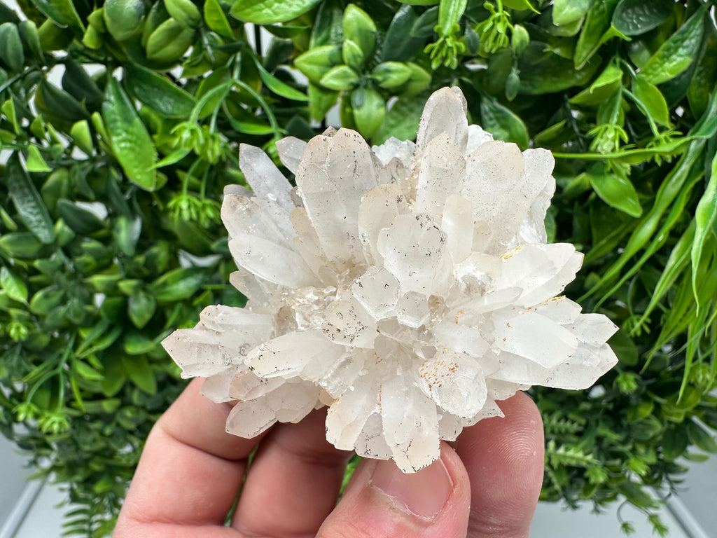 Transparent Quartz whit Siderite 9th September mine Bulgaria natural minerals souvenir crystal stone gift minerals collection rock