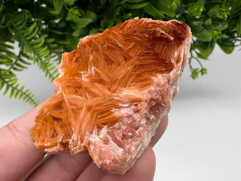 Wonderful Baryte with Cerussite on Galena from Morocco,Crystal, Mineral,Specimen,Cluster,Crystals,Barite Crystal,Cerussite Crystal,Specimen