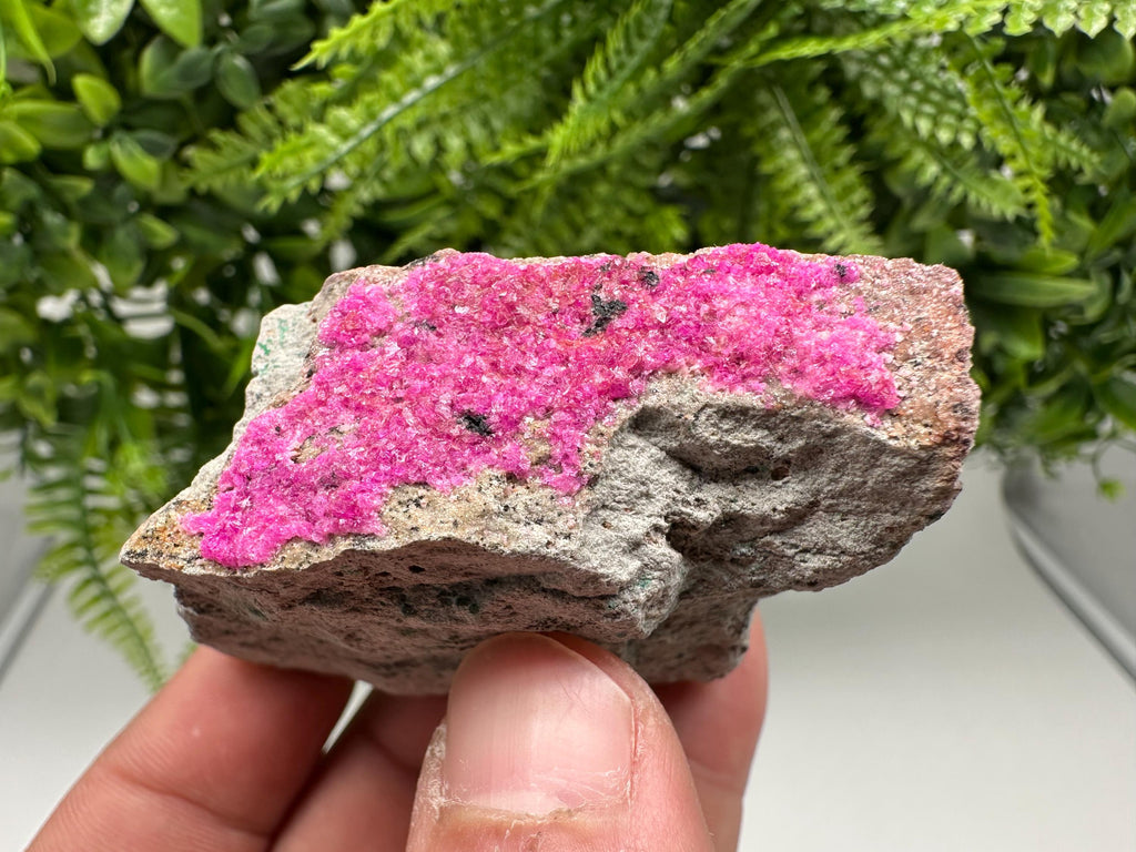 Cobalto Calcite Crystal, Republic of Congo Pink Mineral