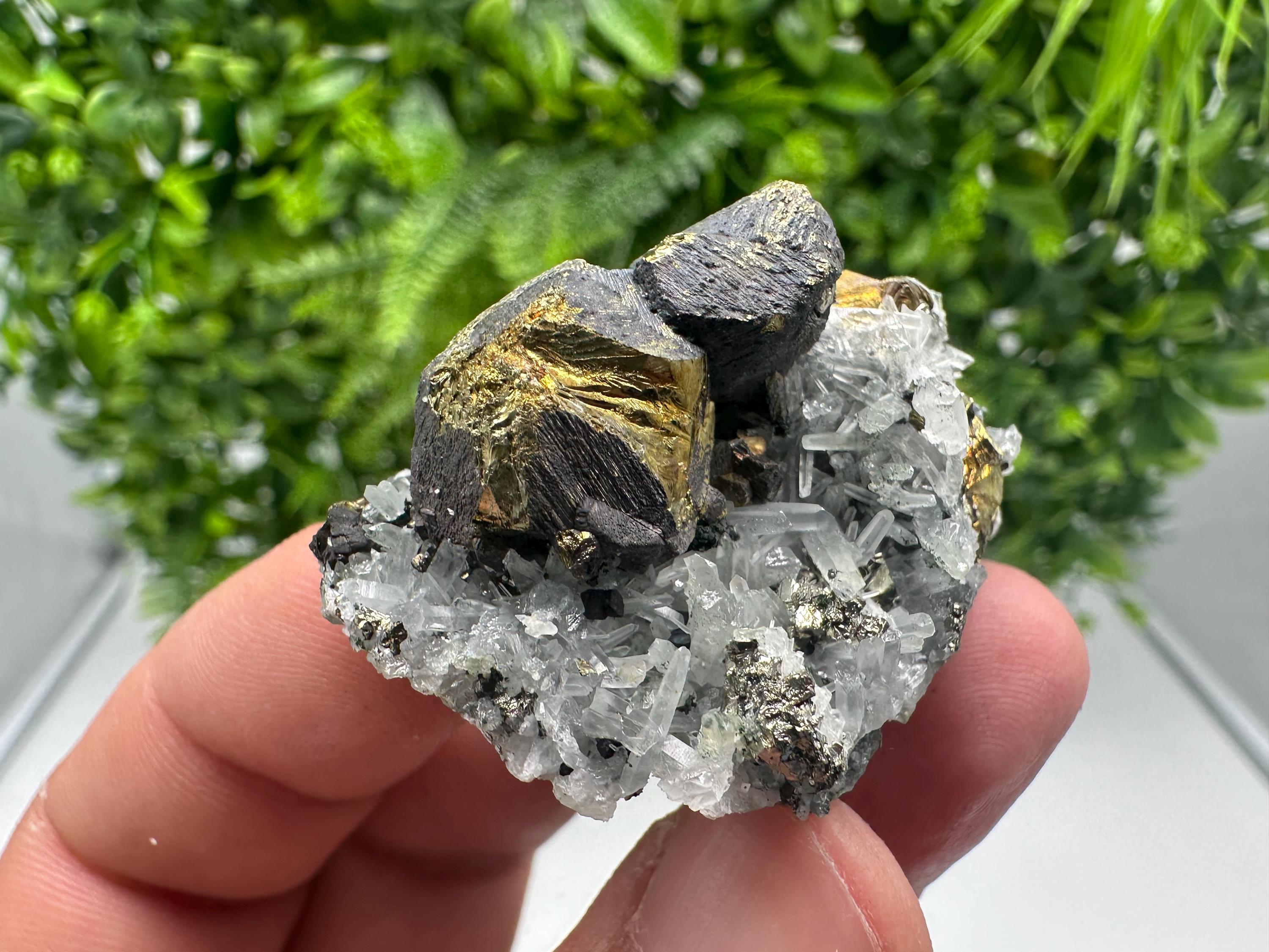 Stunning Chalcopyrite on Quartz,Chlorite From Djurcovo mine,Laki,Bulgaria,Natural,Collection mineral specimen,Home decor stone,Collection