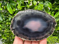 Large Polished Agate Slice: Spiritual Healing Crystal Coaster, 73 grams