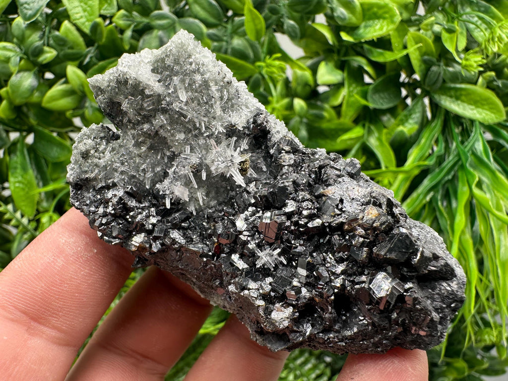 Sphalerite on Green Quartz, Madan Bulgaria Mineral Specimen