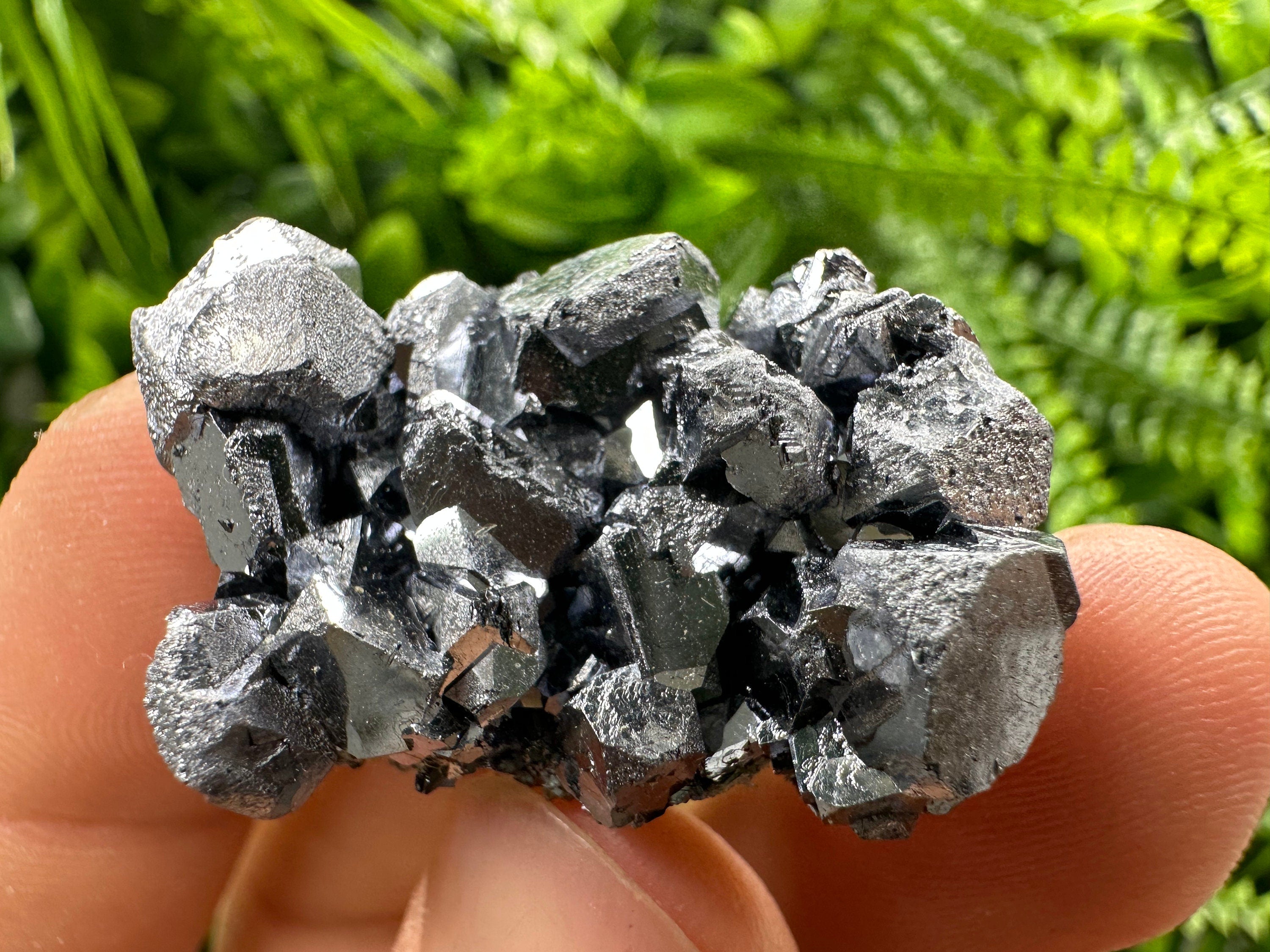 Shiny Galena Cluster: Borieva Mine, Madan, Bulgaria
