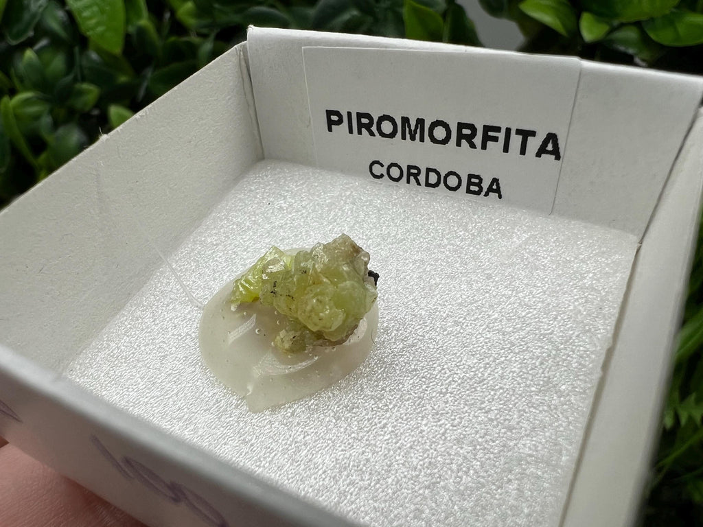 Pyromorphite Stone / Pyromorphite on Matrix / Pyromorphite Crystal / Raw Crystal / Pyromorphite Cluster / Rough Pyromorphite / Pyromorphite