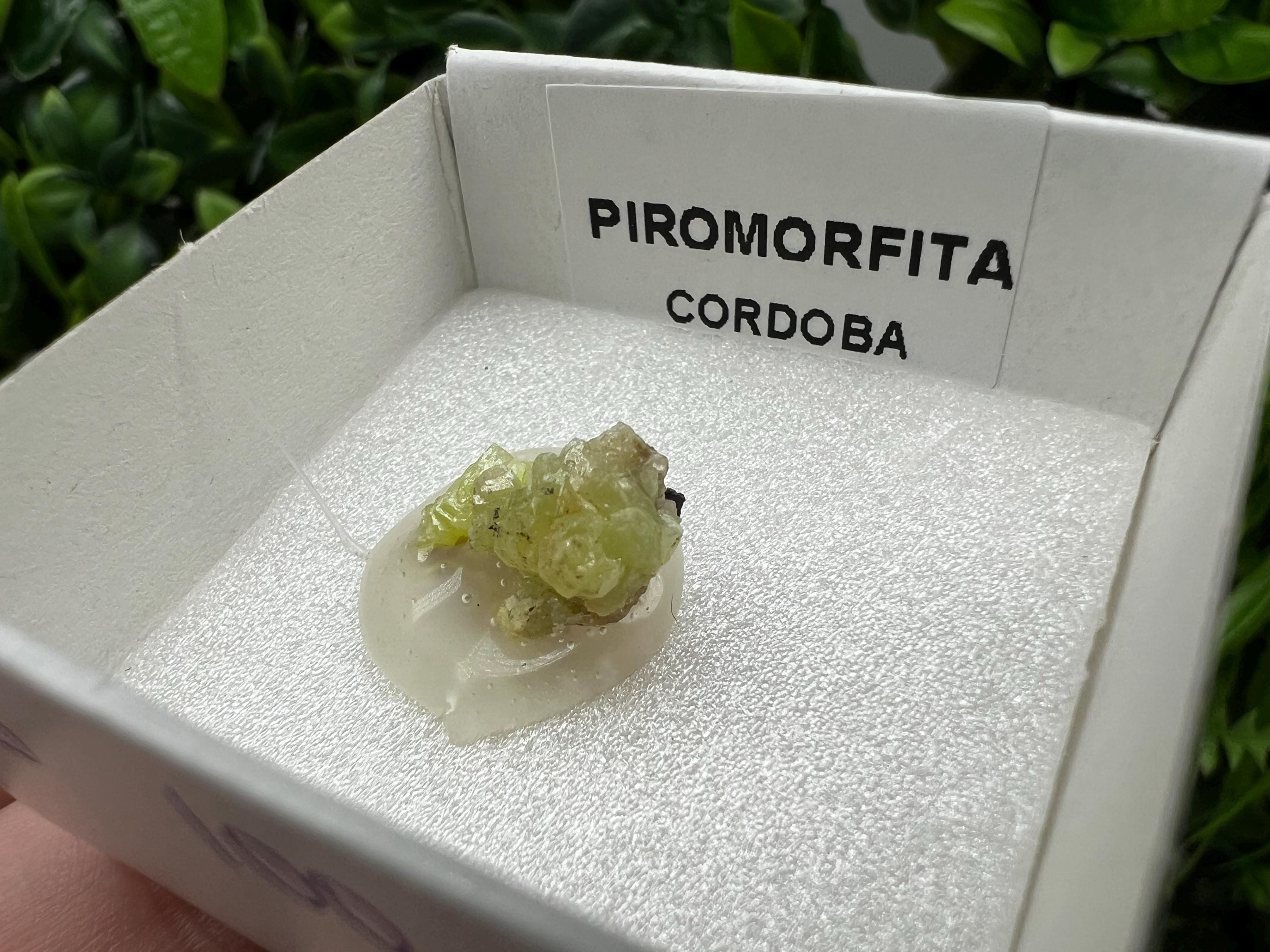 Pyromorphite Stone / Pyromorphite on Matrix / Pyromorphite Crystal / Raw Crystal / Pyromorphite Cluster / Rough Pyromorphite / Pyromorphite