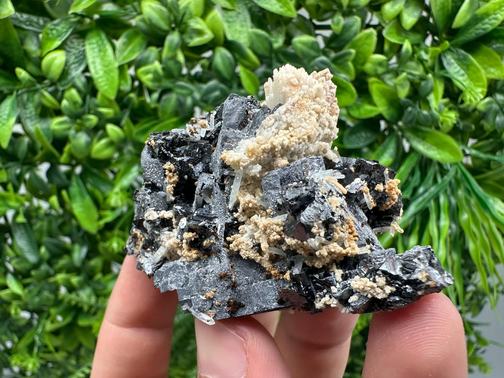 Skeletal Galena Mineral Specimen: Madan Bulgaria Collectible Stone