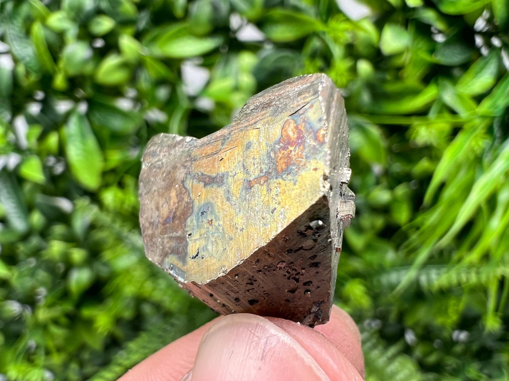 Rare Pyrite Crystal Cluster, Borieva Mine, Bulgaria