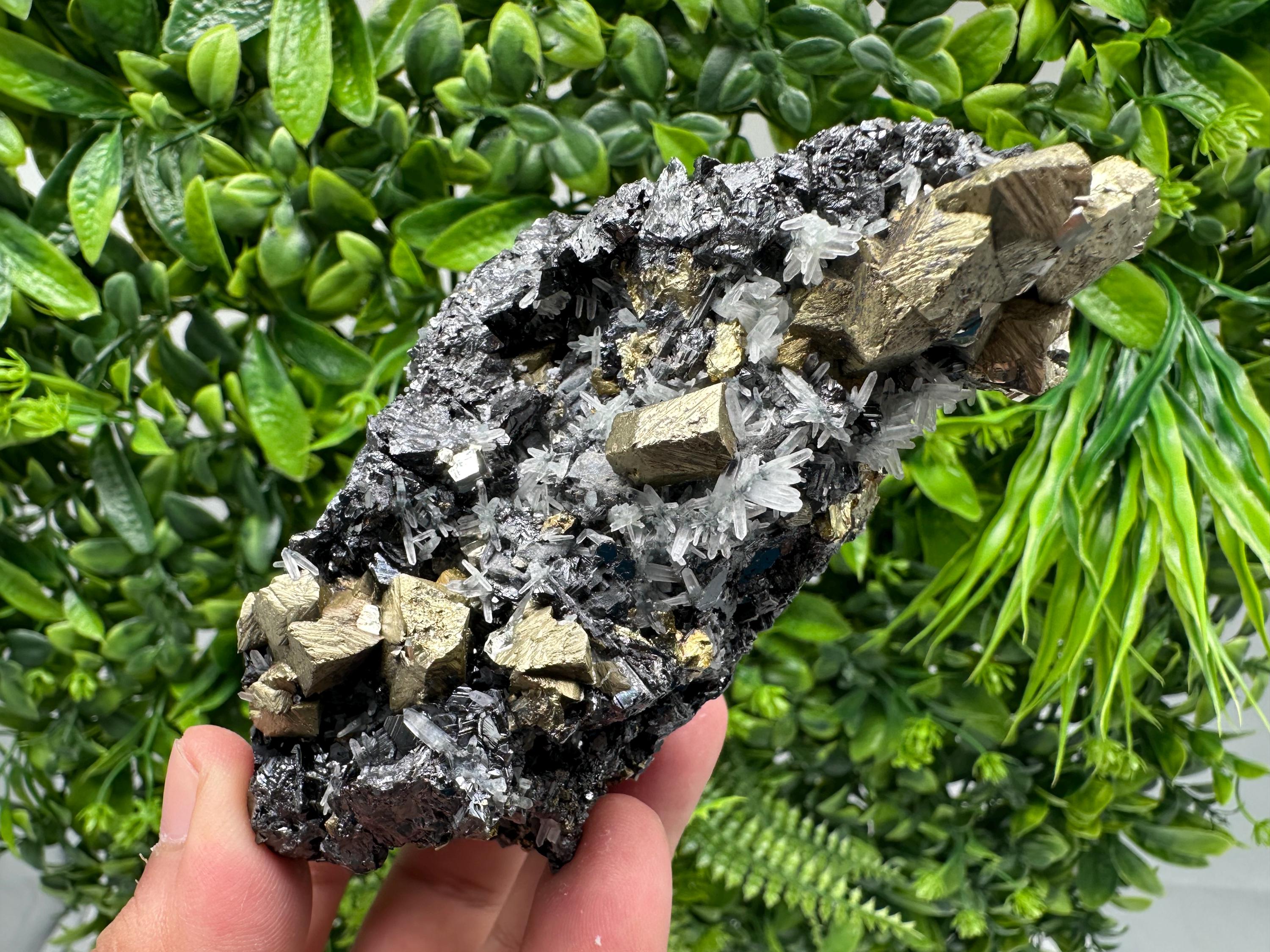 Chalcopyrite with Sphalerite on Quartz, Borieva Bulgaria