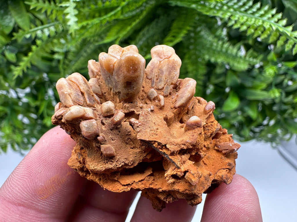 Brown Gypsum Selenite Crystal, Rudna Mine Mineral Specimen