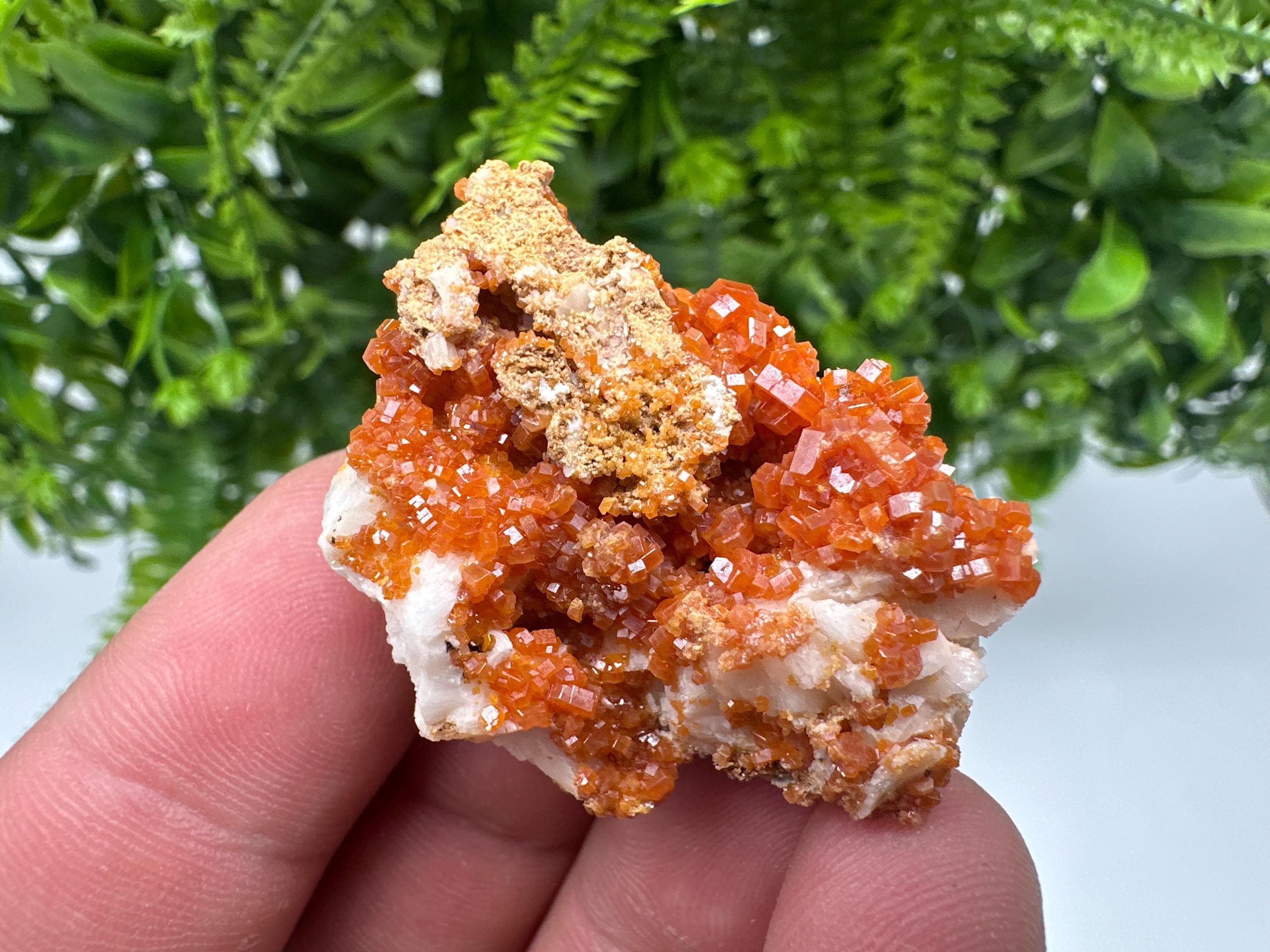 Red Vanadinite on Barite, Morocco Crystal Specimen