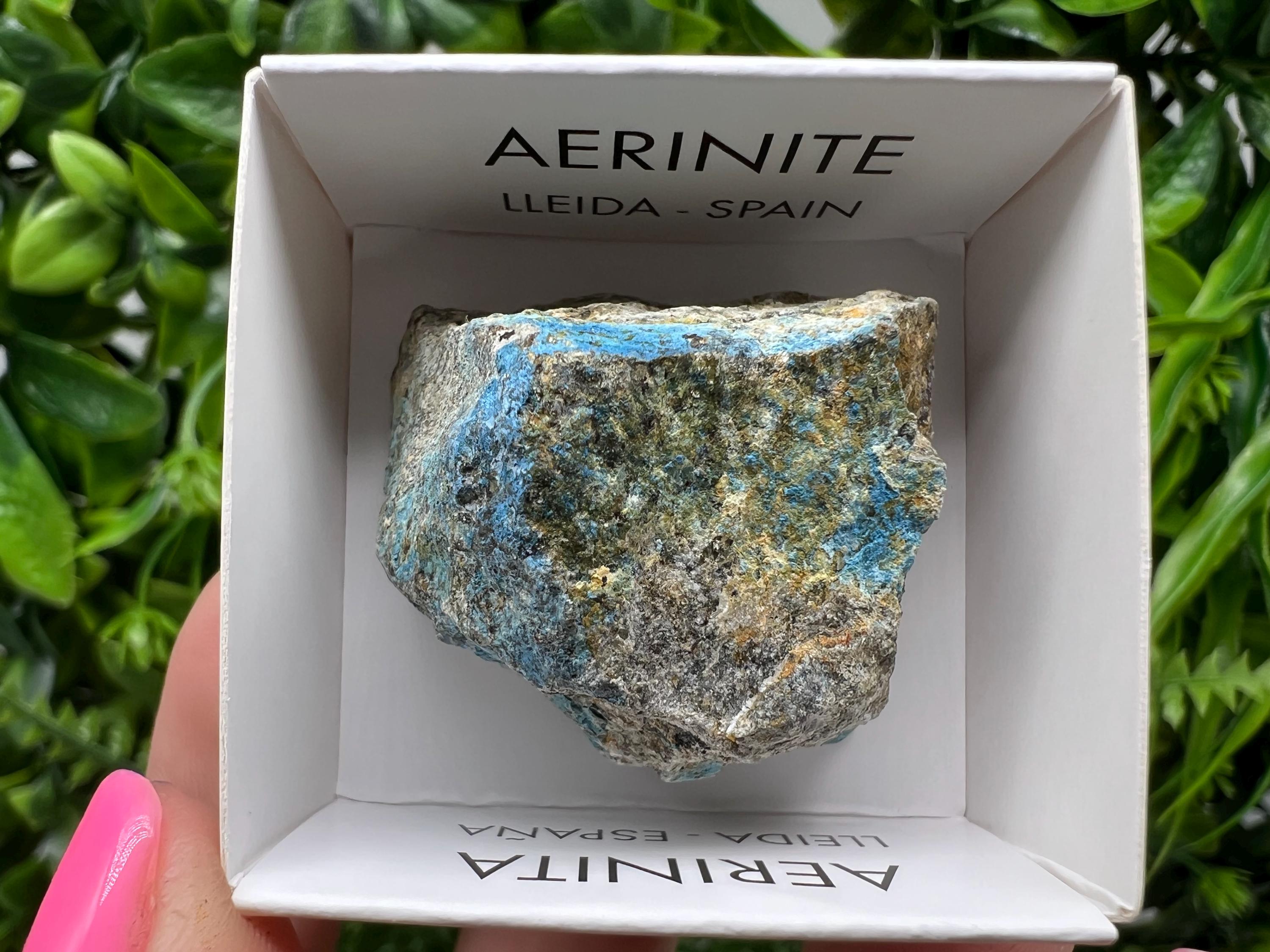 Rare Raw Aerinite Mineral Specimen: Lleida Spain Crystal
