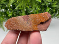 Red Vanadinite on Matrix from Marocco,crystal minerals Speciment cluster Vanadinite crystal Vanadinite Geology Vanadinite cluster minerals