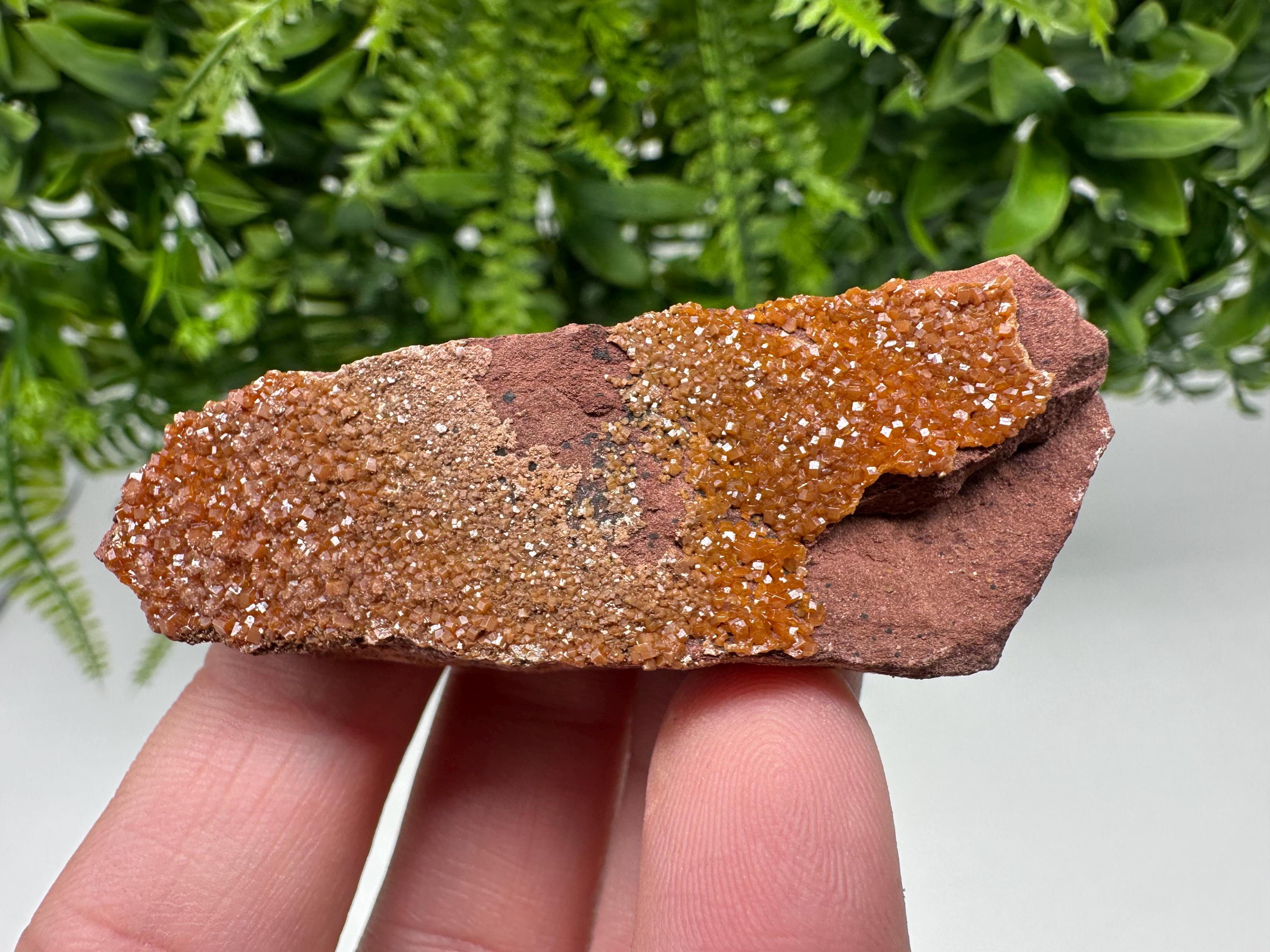 Red Vanadinite on Matrix from Marocco,crystal minerals Speciment cluster Vanadinite crystal Vanadinite Geology Vanadinite cluster minerals