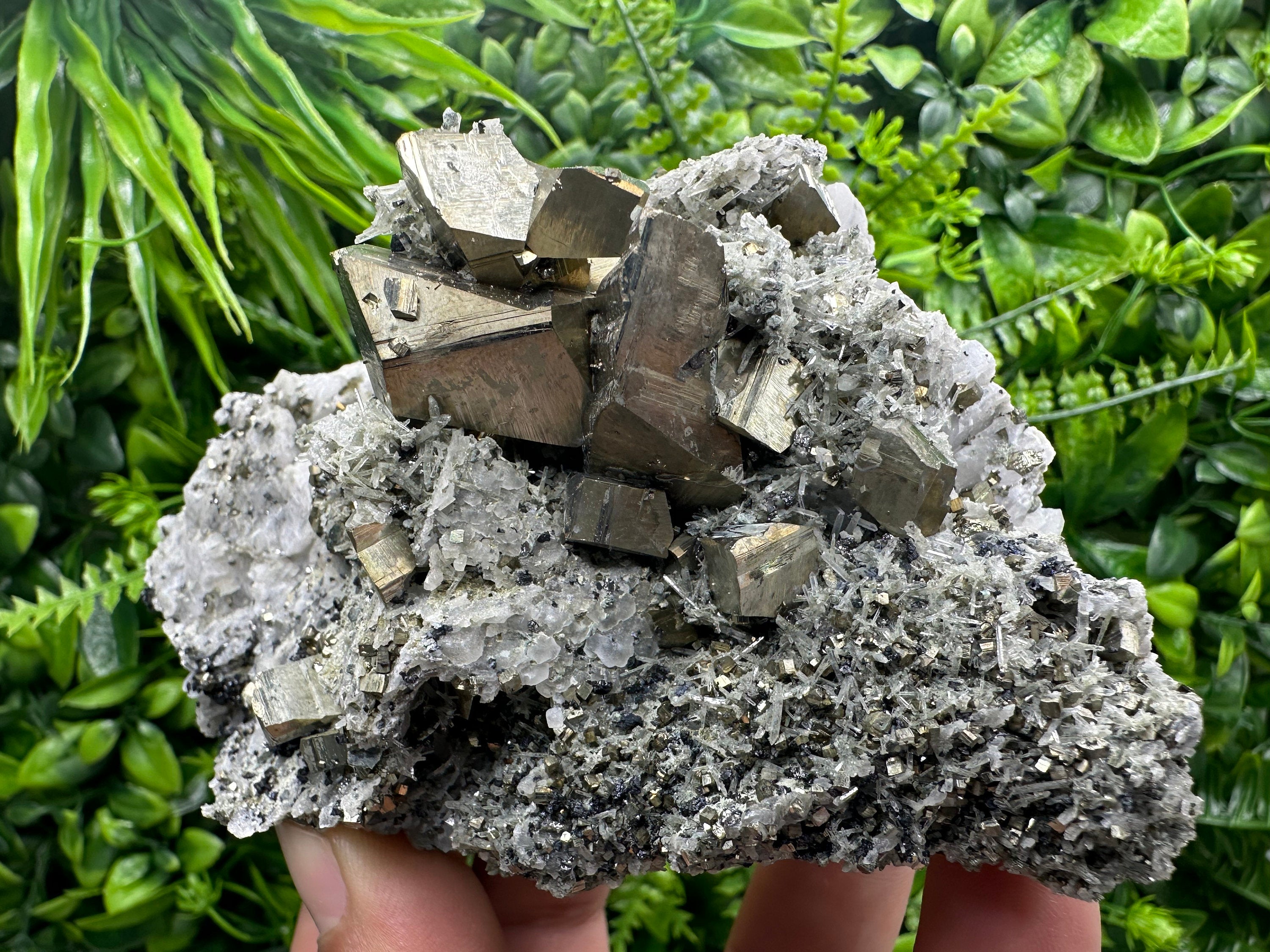 Crystallized Pyrite on Quartz, Madan Bulgaria, Home Decor