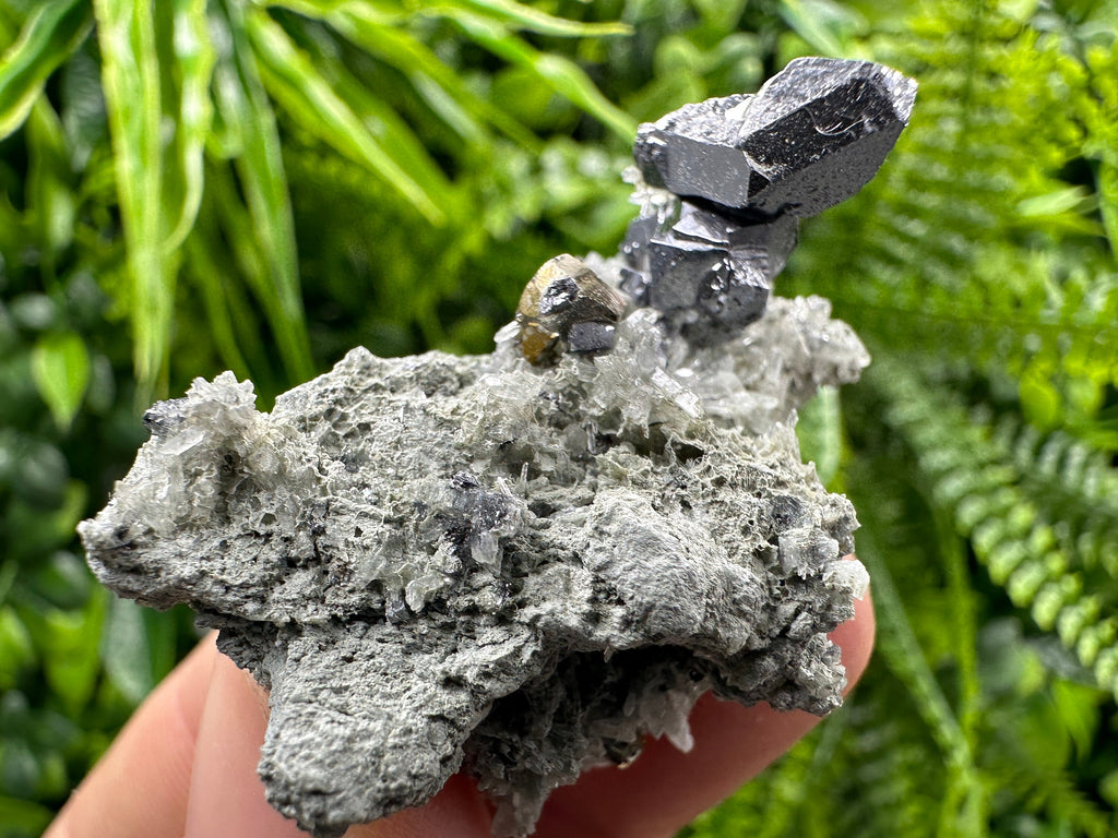 Spinel Law Galena on Quartz with Chalcopyrite: Borieva Mine Minerals